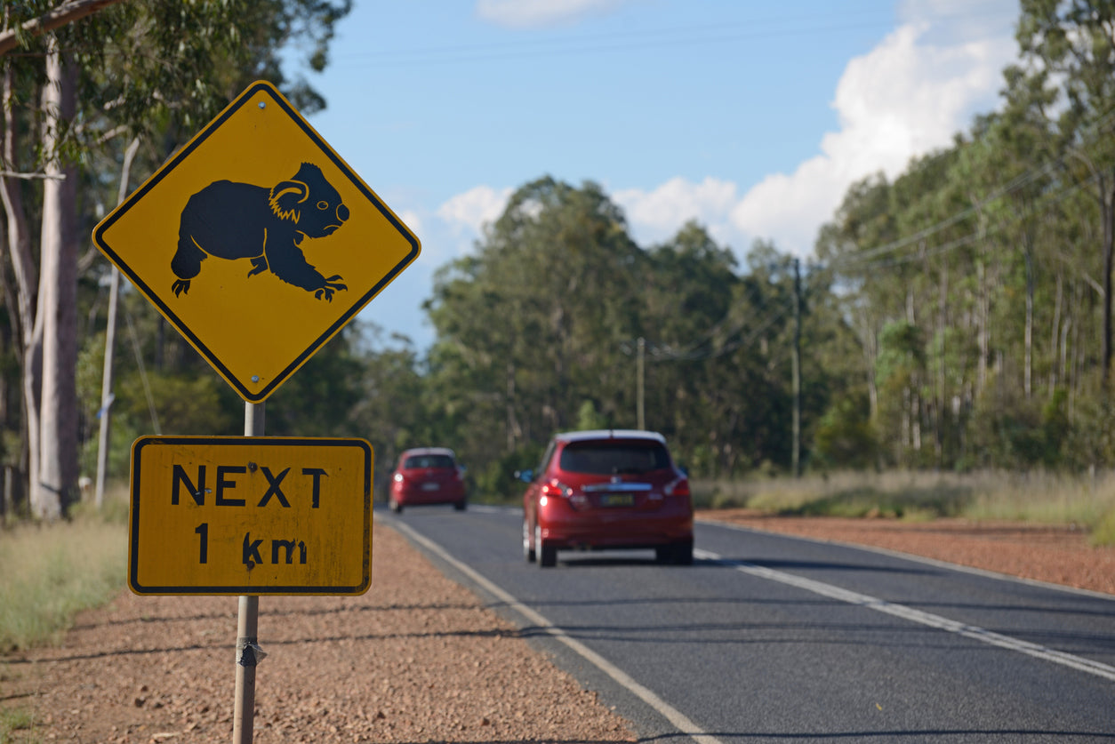 Practice Between Lessons - Mini Plan